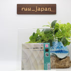 New Earth Quake 8.5 Japan Music CD
