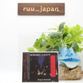 Kingo Hamada - midnight cruisin + MUGSHOT - 2in1 2020 Remaster New CD New