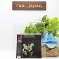 AMORY KANE-JUST TO BE THERE Paper Sleeve CD From Japan NEW