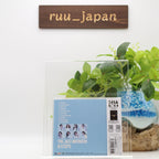 Kawaguchi Senri THE JAZZ AVENGERS 8 STEPS CD Japan YZAG-1121 New