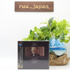 Rudolf Kempe Richard Strauss Orchestral Works TOWER RECORDS JAPAN 9 SACD NEW