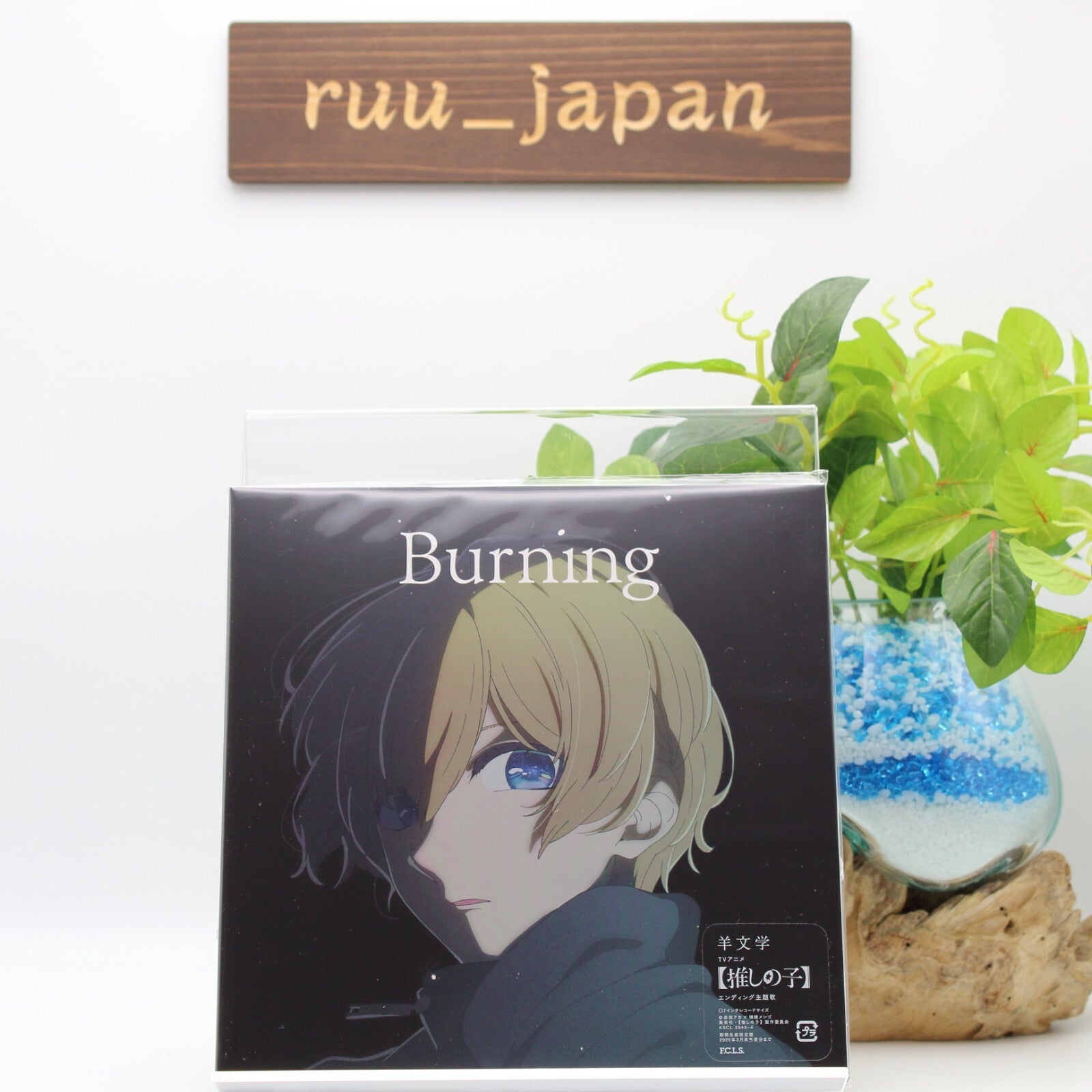 Hitsujibungaku Burning Limited Edition Oshi no Ko CD Blu-ray Japan New
