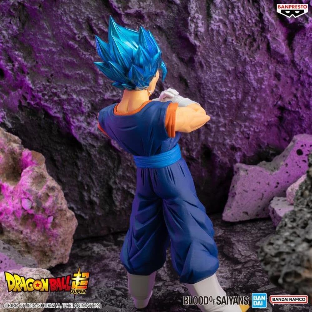 Dragon Ball Super BLOOD OF SAIYANS SPECIAL XIX Super Saiyan God Super Saiyan NEW