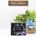 GARNiDELiA COVER COLLECTiON Limited Edition CD From Japan New