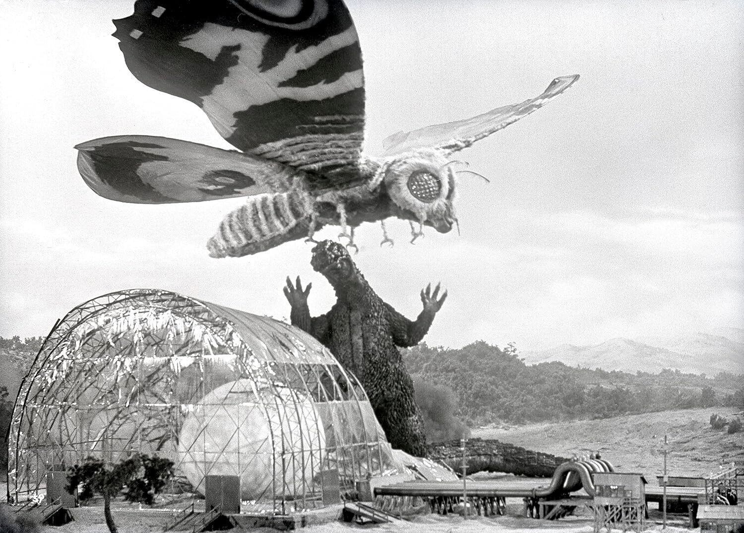 Mothra vs. Godzilla Remaster 4K Blu-ray Japan free shipping new