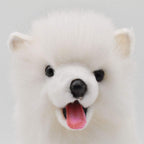 Samoyed Ken No.5267 NEW
