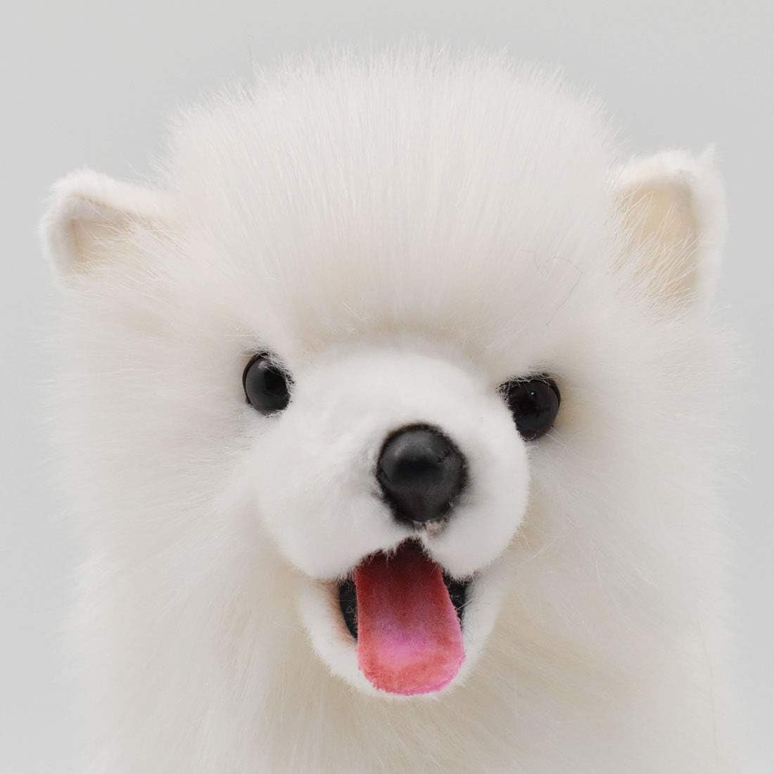 Samoyed Ken No.5267 NEW