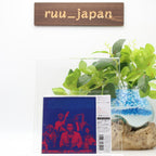 New HERBIE HANCOCK HEAD HUNTERS  JAPAN SACD HYBRID
