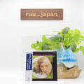 Van Morrison / Astral Weeks (paper jacket specification) SHM-CD NEW