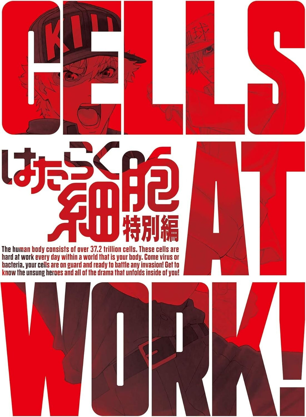 New Hataraku Saibou - Cells at Work! Special Edition [Blu-ray Disc+CD] (Ltd Ed)