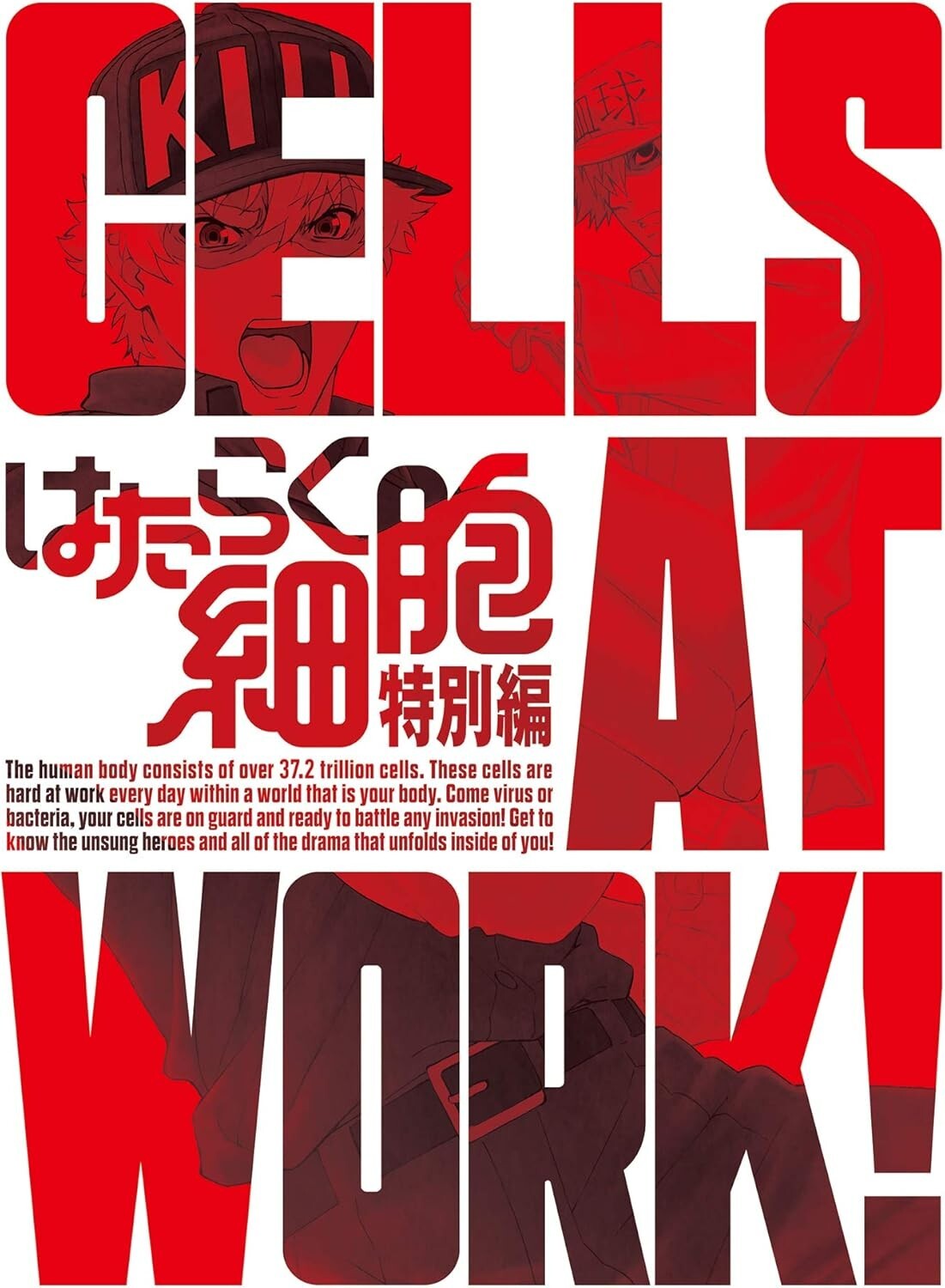 New Hataraku Saibou - Cells at Work! Special Edition [Blu-ray Disc+CD] (Ltd Ed)
