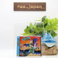 New No Pressure No Pressure 1st album Japan Music CD*