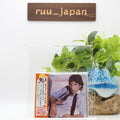 New Roger Voudouris On The Heels Of Love Japan Music CD Bonus tracks