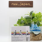 New [CD] M.R.I_Mirai Nomal Edition Katsushika Trio Japanese Jazz Fusion