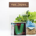 New Survivor CD(BSCD2) Vital Signs Bonus Track Japan OBI