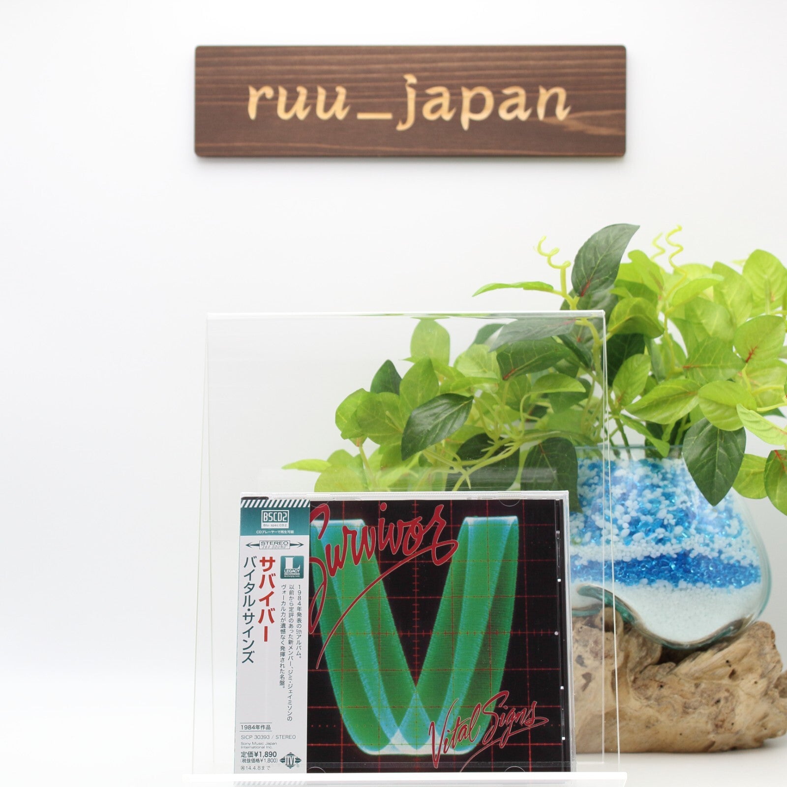 New Survivor CD(BSCD2) Vital Signs Bonus Track Japan OBI