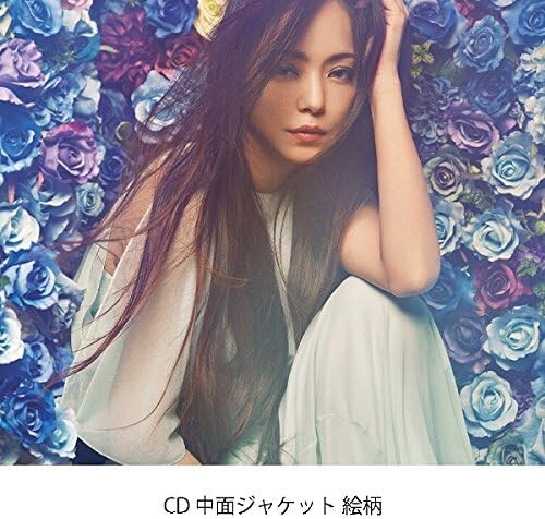 New Namie Amuro - Finally CD Boxed Set, Poster