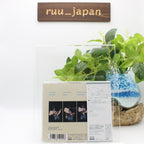 JEFF BECK WIRED JAPAN BLU-SPEC CD WITH OBI New