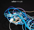 New Love's Archetype [Limited Edition] [CD+DVD]