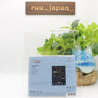 GIJS HENDRIKS & JOE DIORIO & BERT VAN ERK & MICHAEL...-FEEDLES- Ltd/Ed JAPAN CD