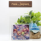 Walkure W encore Standard Edition 3CD Macross Delta From Japan NEW