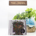 Tatsuya Kitani-ROUNDABOUT-JAPNA ALBUM CD Japan New