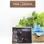 NITRATE Open Wide CD From Japan New