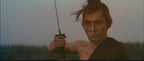 New Japans Dark History of Violence: The Blood of the Abnorm [DVD]