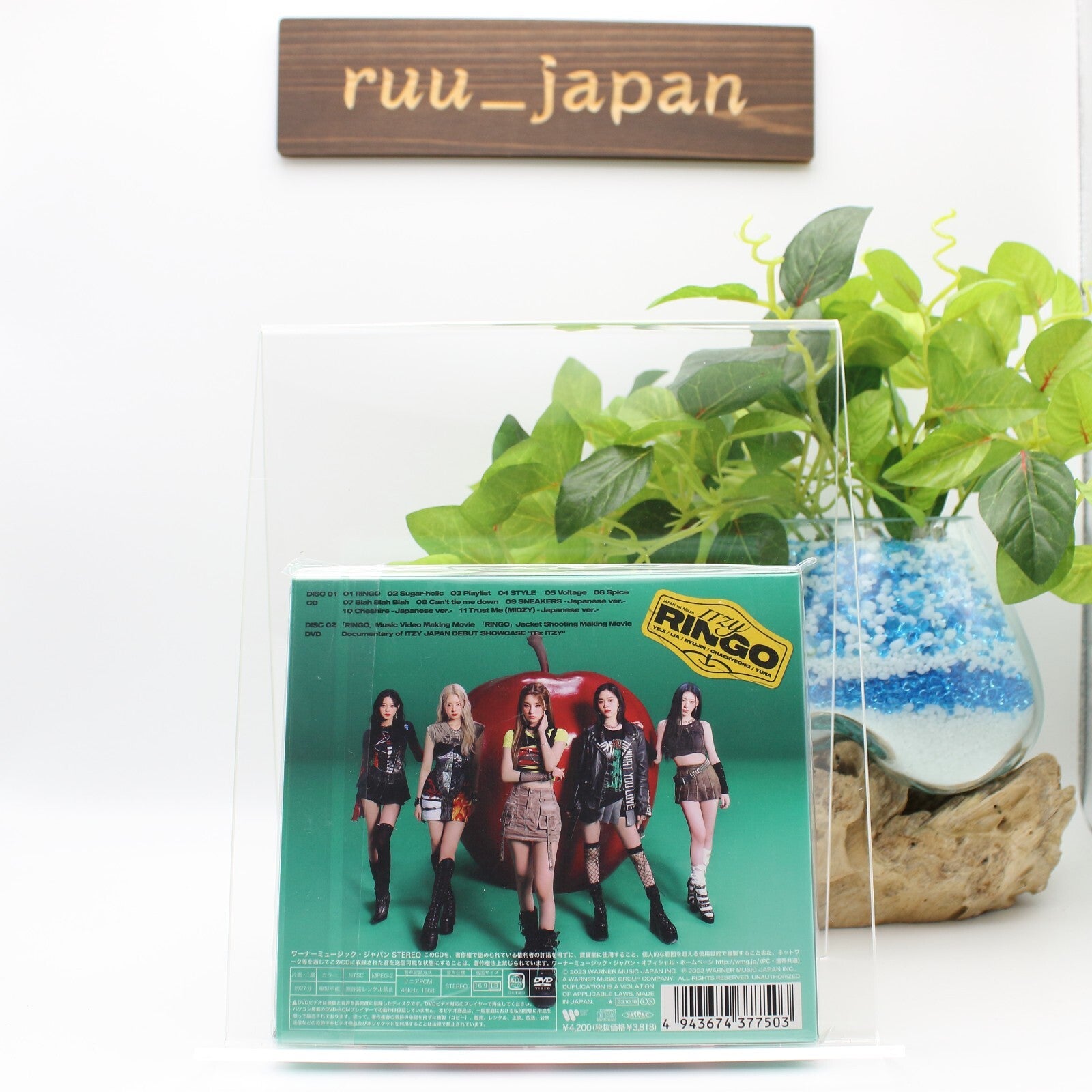ITZY RINGO (first limited edition A) JAPAN CD + DVD + PHOTOCARD From Japan NEW