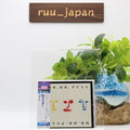 Mr. Mr. PULL (Limited Edition) Japan Music CD From Japan NEW