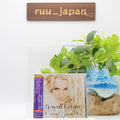 BRITNEY SPEARS-FEMME FATALE-JAPAN CD BONUS TRACK New