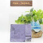KIRINJI-crepuscular-JAPAN CD DVD Ltd/Ed New