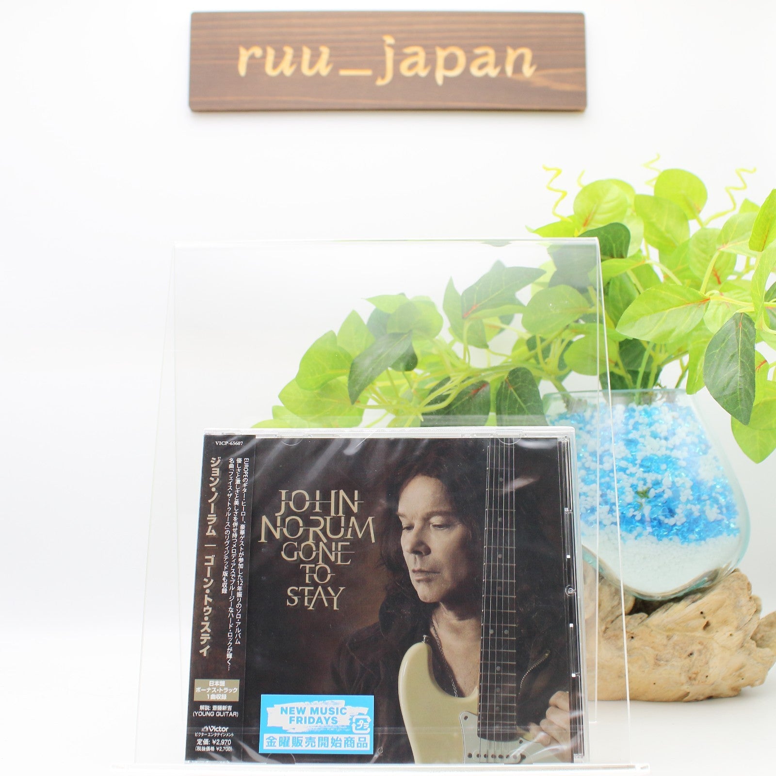 New Gone to Stay [Japanese edition bonus track included] [CD]