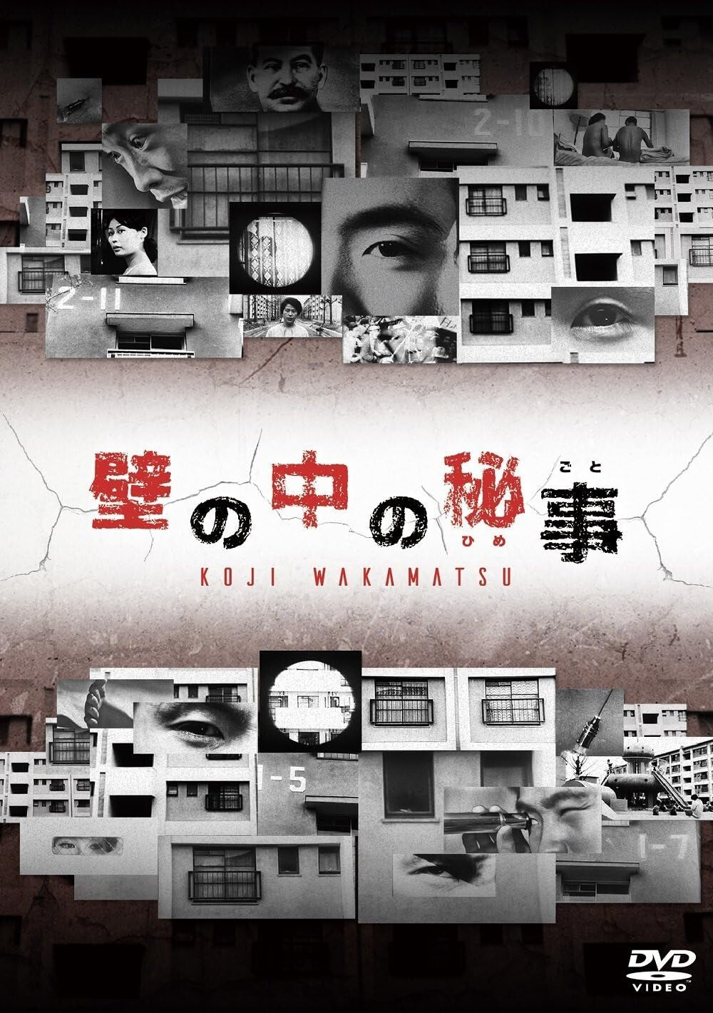 New Wakamatsu Koji - The secret inside the wall (Himegoto) [DVD]