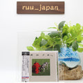 RUSH SIGNALS 40TH ANNIVERSARY REMASTERING 2023 JAPAN SHM CD new