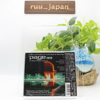 New PAGE 99-S/T-JAPAN CD BONUS TRACK