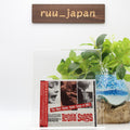 D BLOSSOM DEARIE -SINGS ROOTIN SONGS- from Japan New