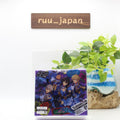 Ensemble Stars Album Series TRIP UNDEAD Limited Edition 2CD FFCG-253 NEW
