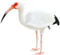 'HANSA White Ibis Plush BH8192 Realistic Bird Stuffed Animal 54cm Wildlife NEW'