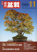 Kindai Bonsai Kinbon Dec 2015 Vol.458 / Japanese Magazine [NEW] from Japan