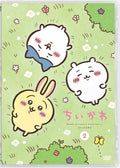Chikawa Regular Edition 2 [DVD] NEW