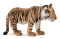 BH5332 HANSA Tiger 70 NEW