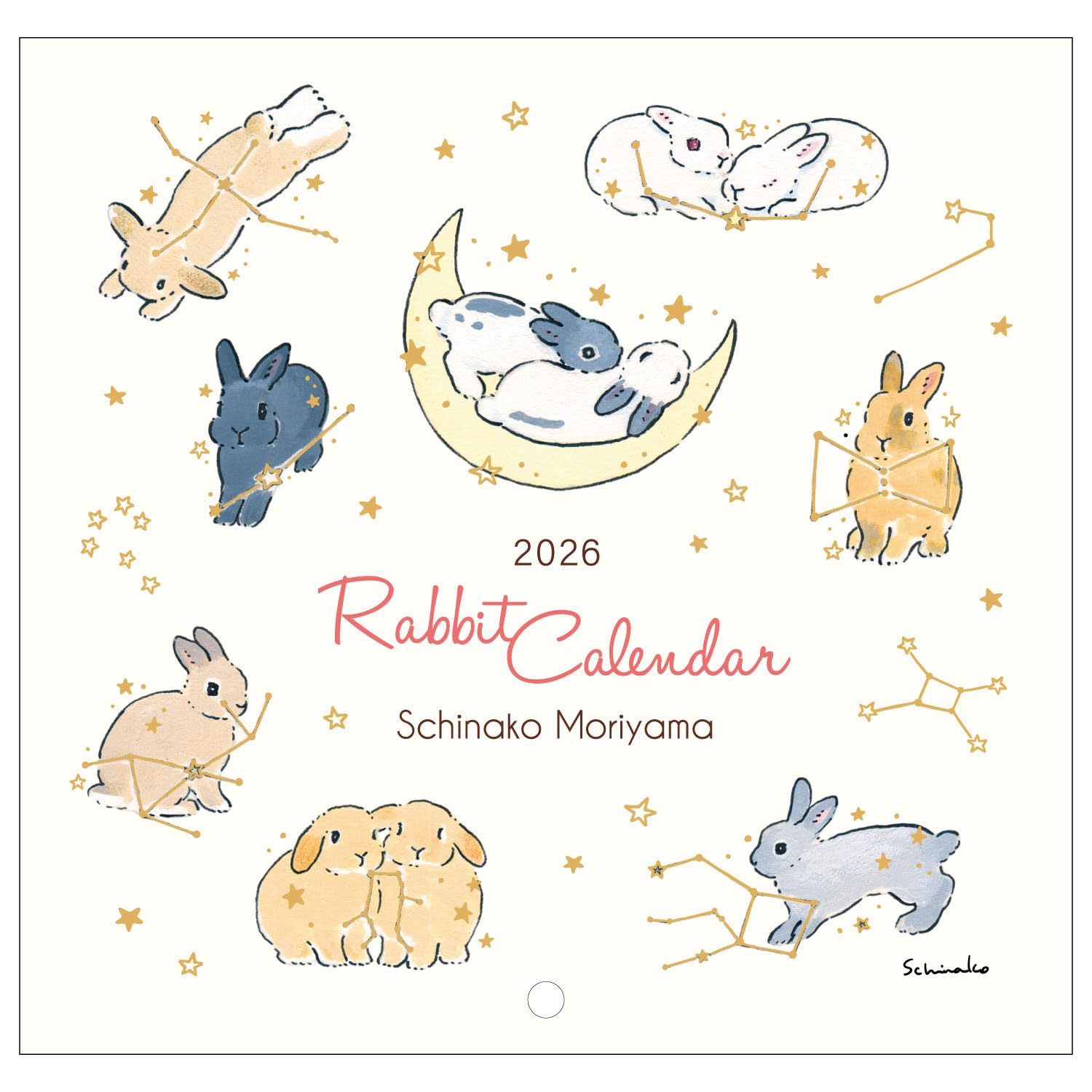 Active Corporation Wall Calendar Noriko Moriyama Rabbit Starts January 2026 NEW