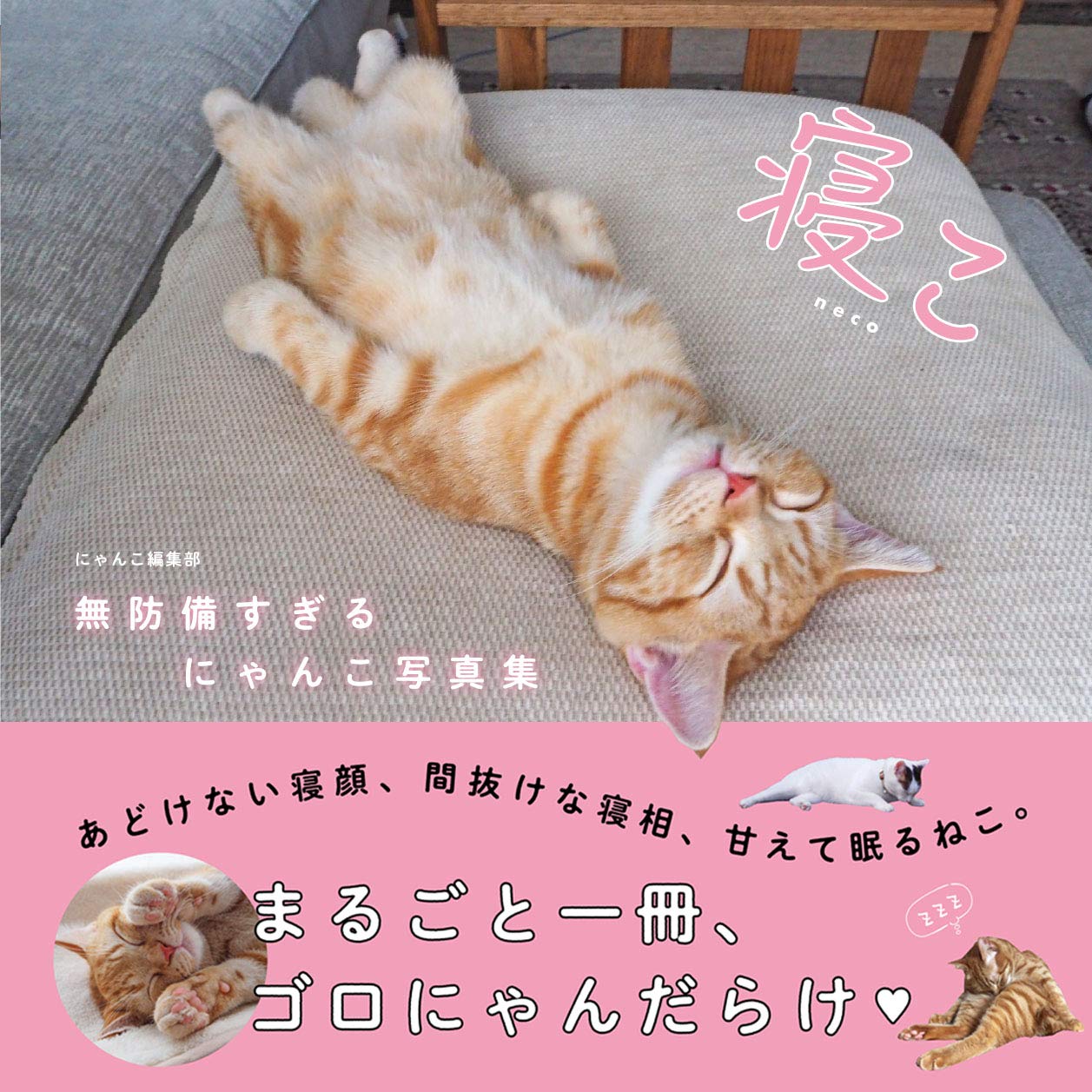 Book Sleeping Cats: A Photo Book of Cats in Vulnerable Sleeping... Japanese NEW