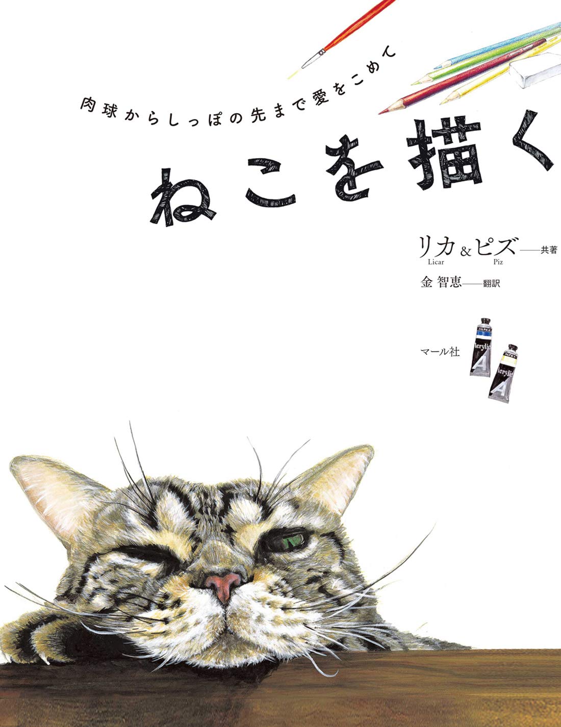 How to Draw a Cat Japanese How to draw Book Free Ship w/Tracking# New from Japan
