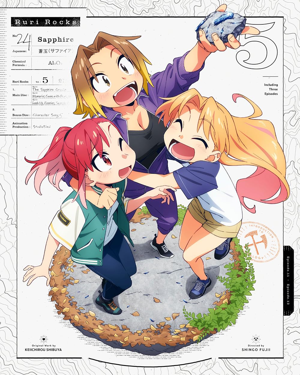 Ruri Rocks Vol.5 Limited Edition Blu-ray Japan New with Tracking NEW