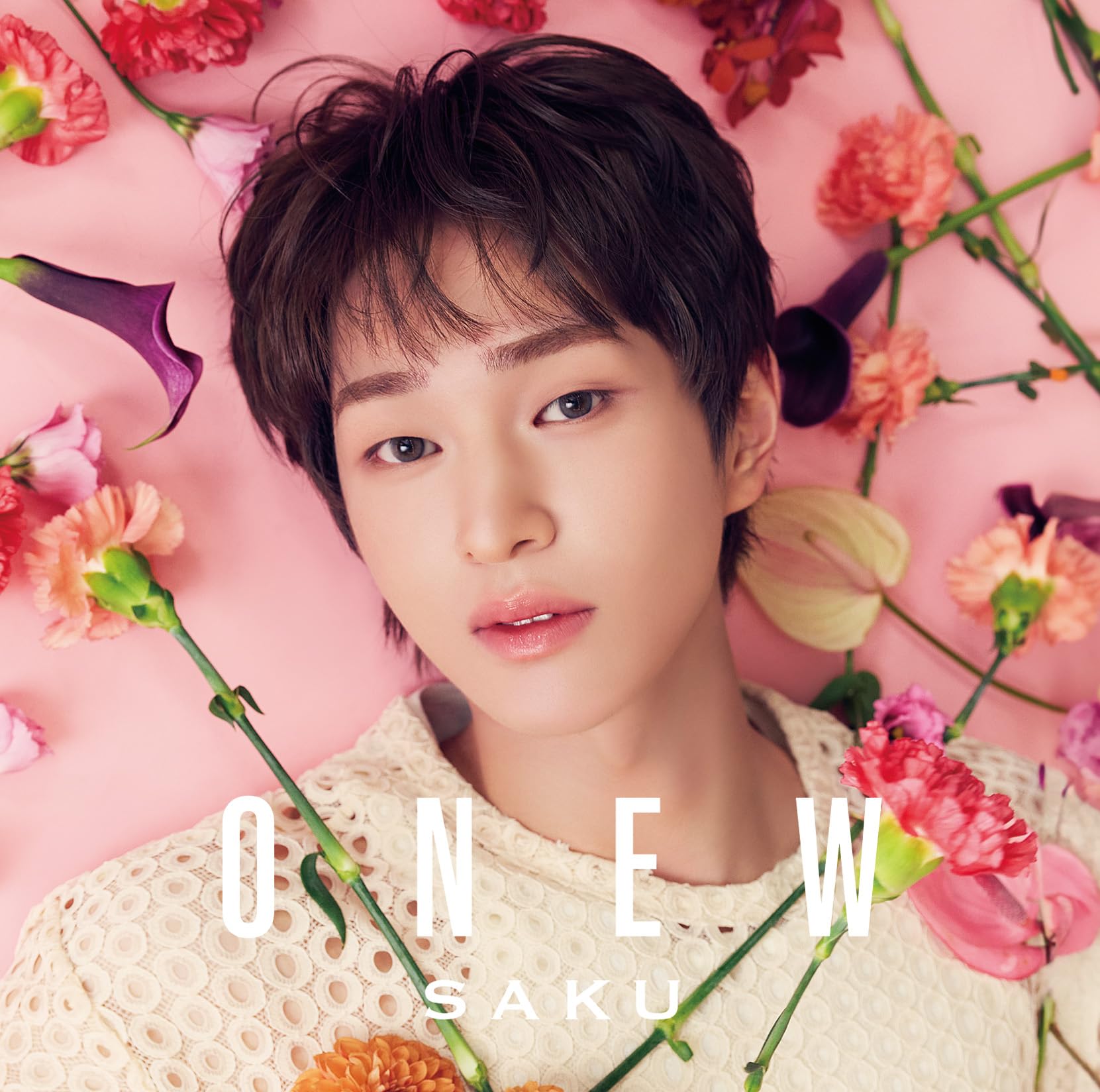 SHINee ONEW SAKU Standard Edition CD Photo Card Japan VICL-66096