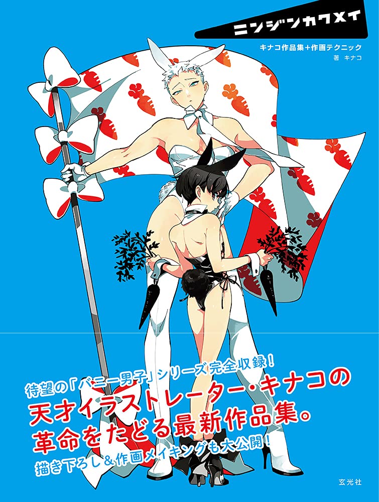 'Kinako Art Book Drawing Technique Book Touken Ranbu Iwatooshi Artist NEW'