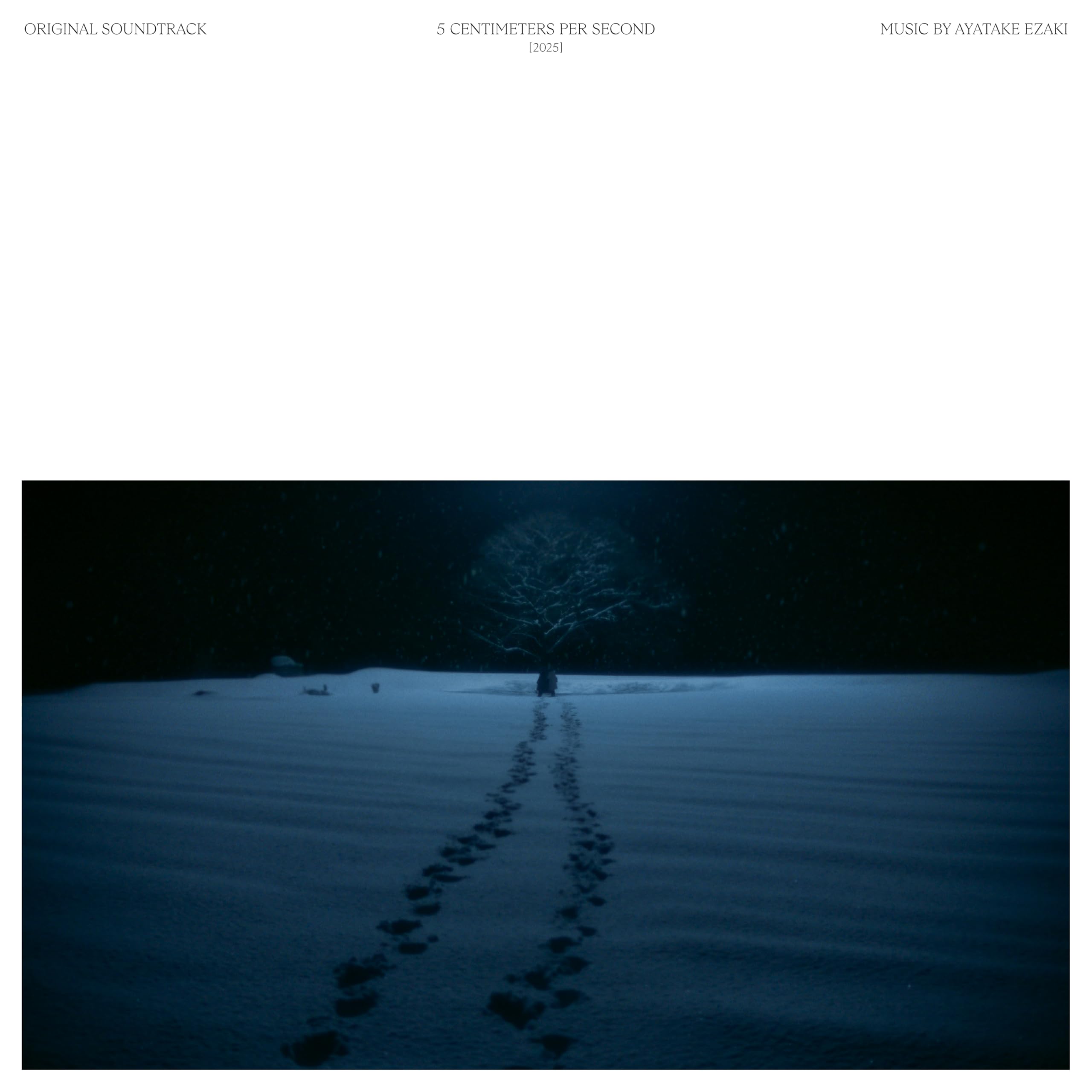 CD 5 Centimeters per Second Live-Action Film Original Soundtrack [CD] Japan NEW