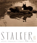 Ivc [Blu-Ray] Stalker Andrei Tarkovsky 162 Minutes Multicolor 0.24 Pounds NEW